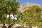Montgo_garden_0688w Montgo_garden_0688w